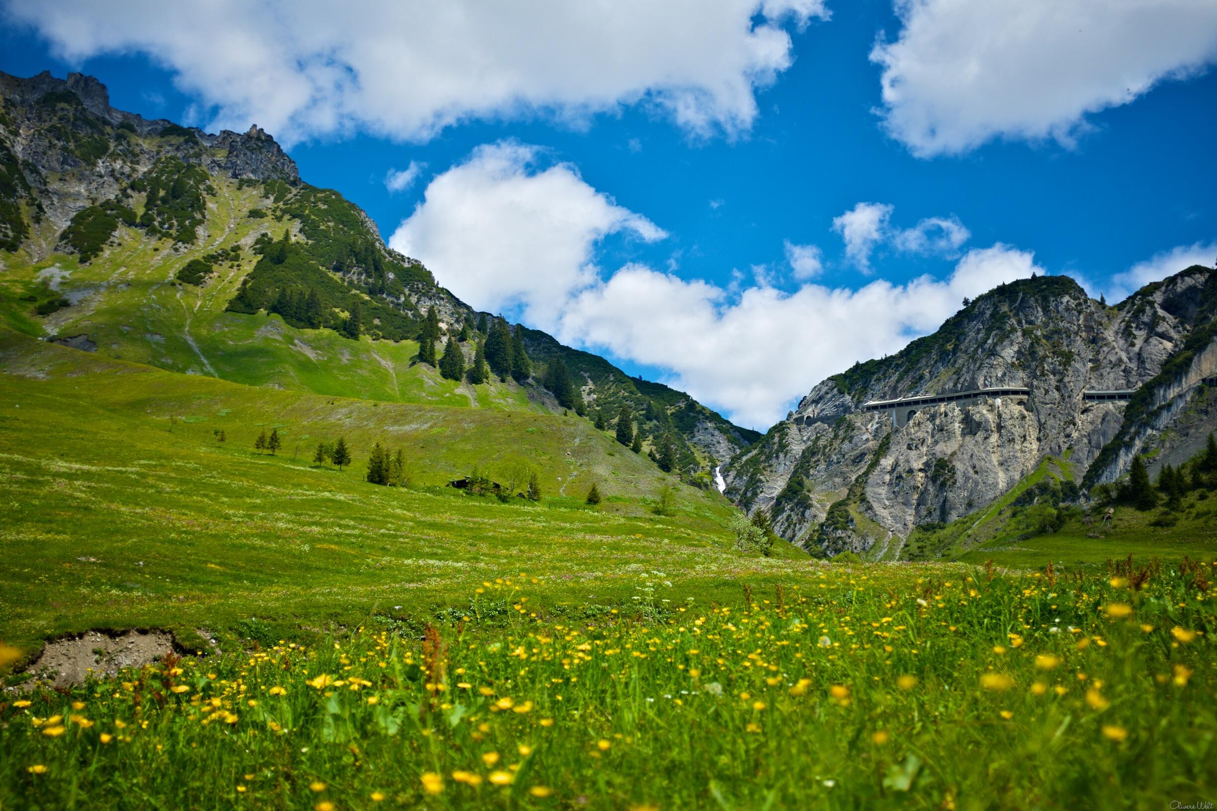 Bild ohne Beschreibung