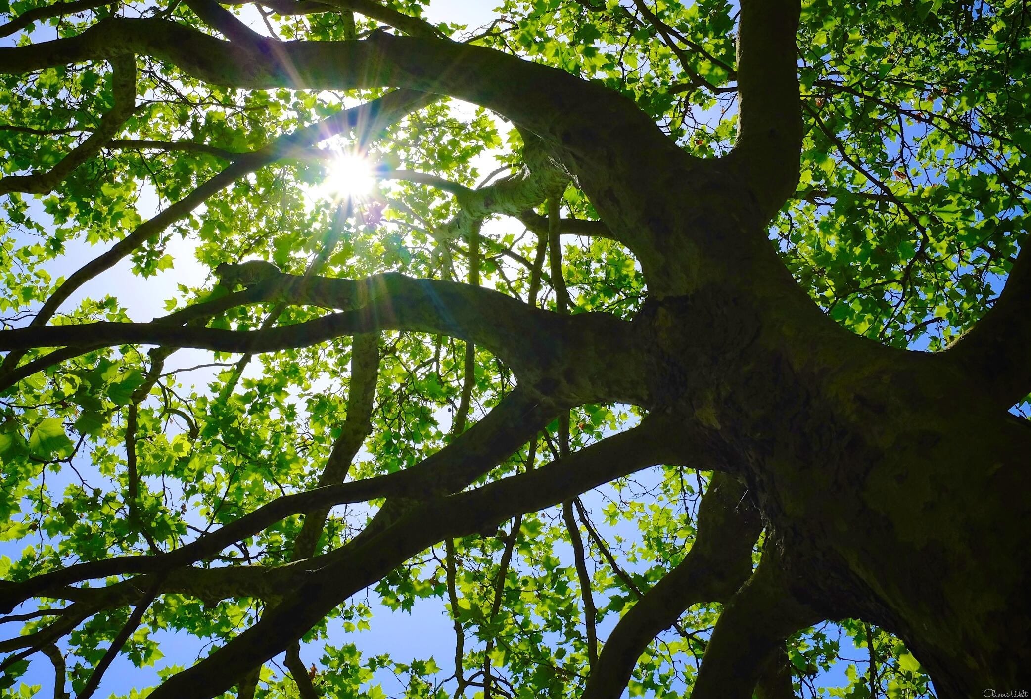 Bild ohne Beschreibung Bild ohne Beschreibung