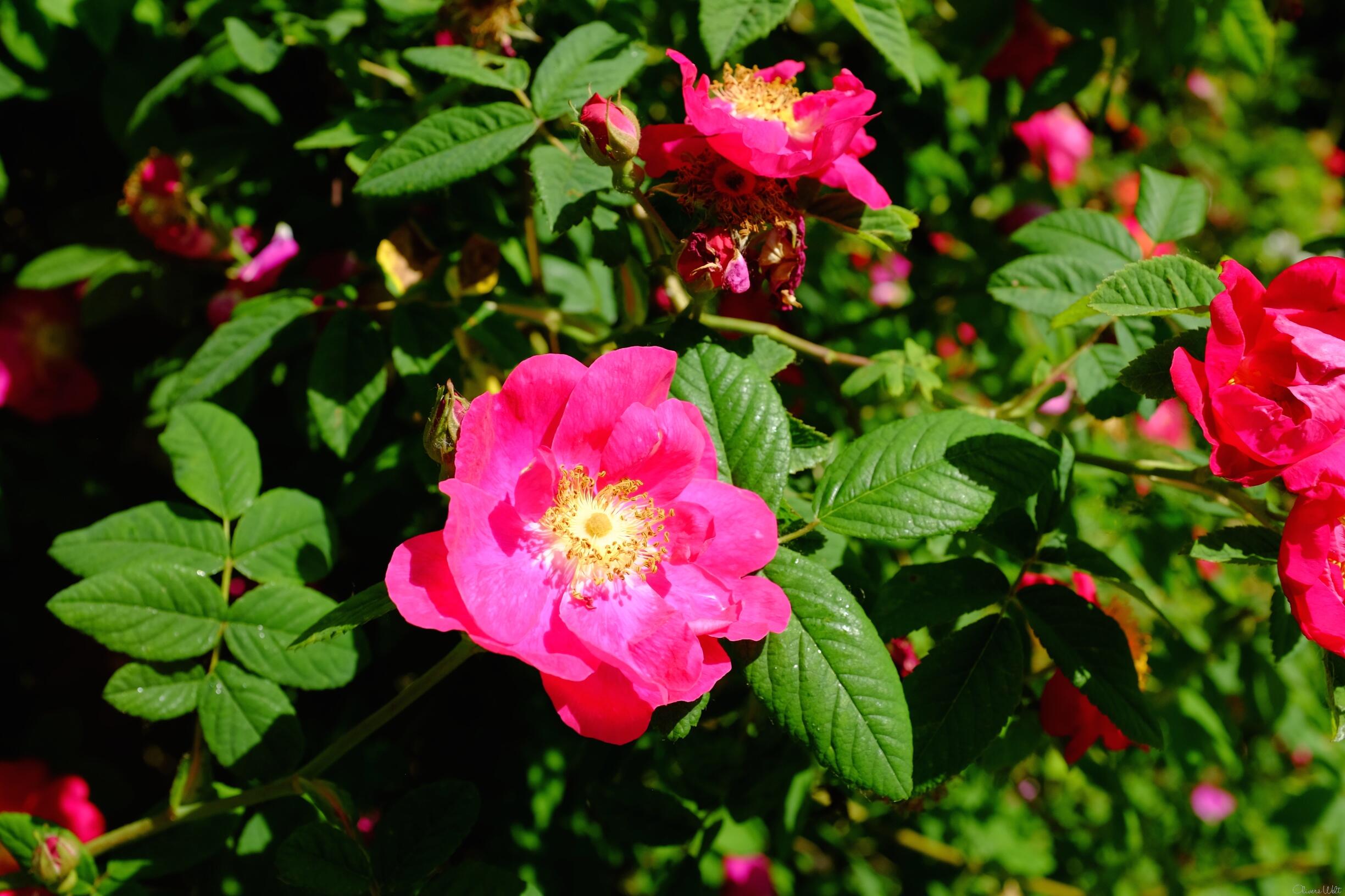 Bild ohne Beschreibung Bild ohne Beschreibung