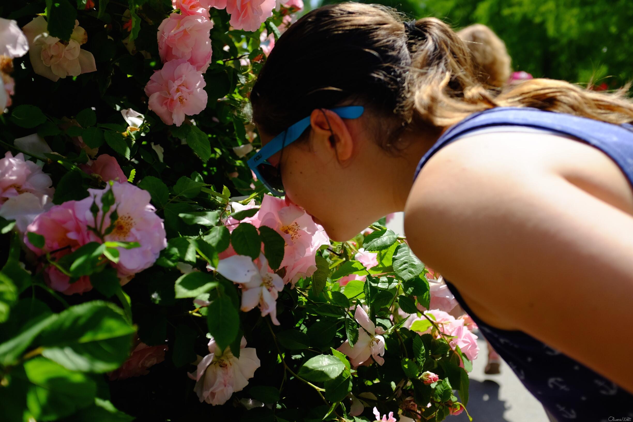 Bild ohne Beschreibung Bild ohne Beschreibung