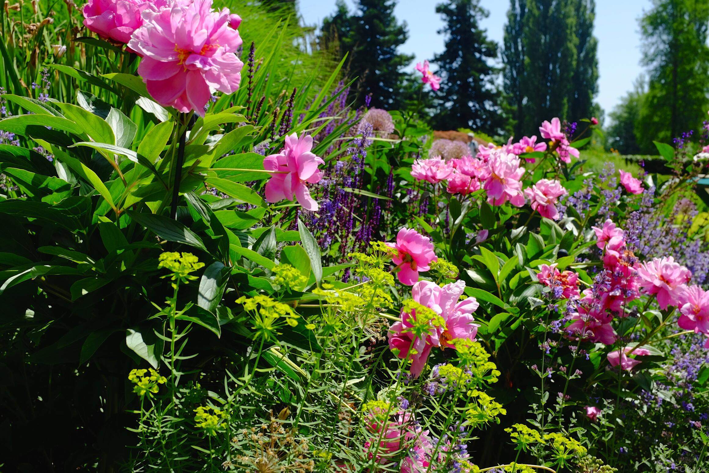 Bild ohne Beschreibung Bild ohne Beschreibung