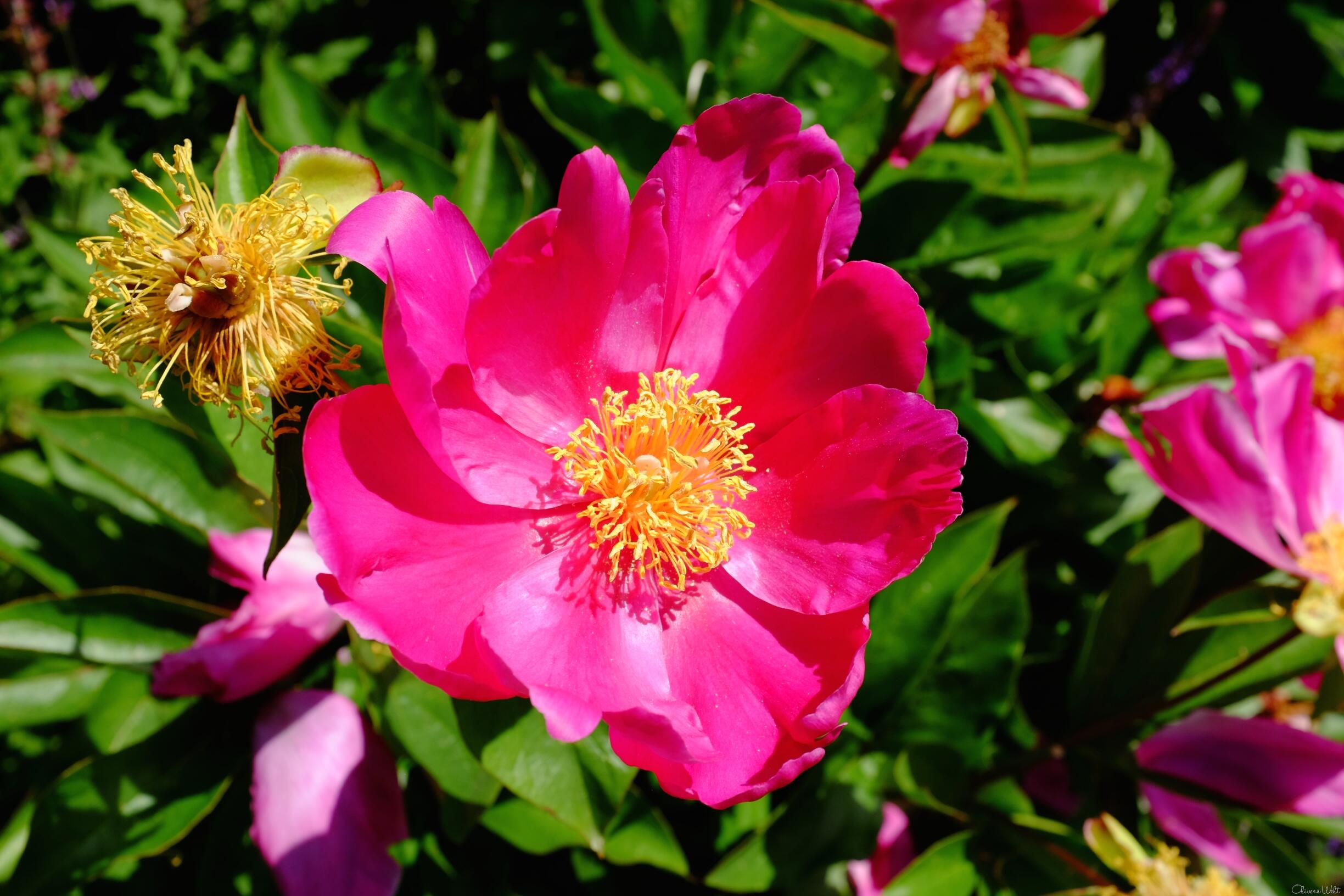 Bild ohne Beschreibung Bild ohne Beschreibung