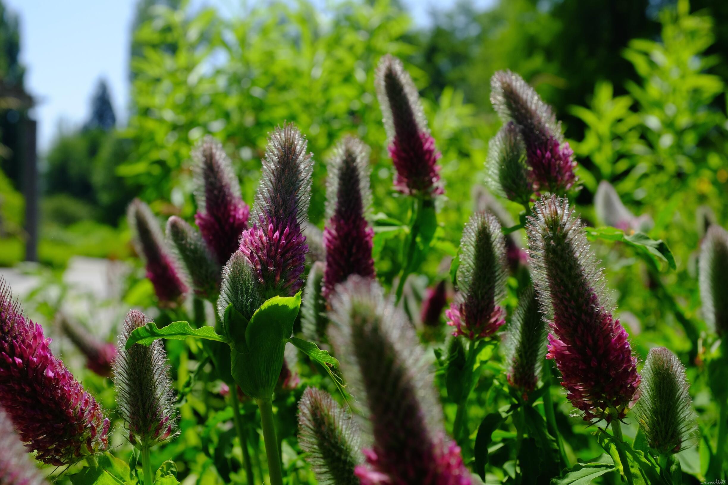 Bild ohne Beschreibung Bild ohne Beschreibung