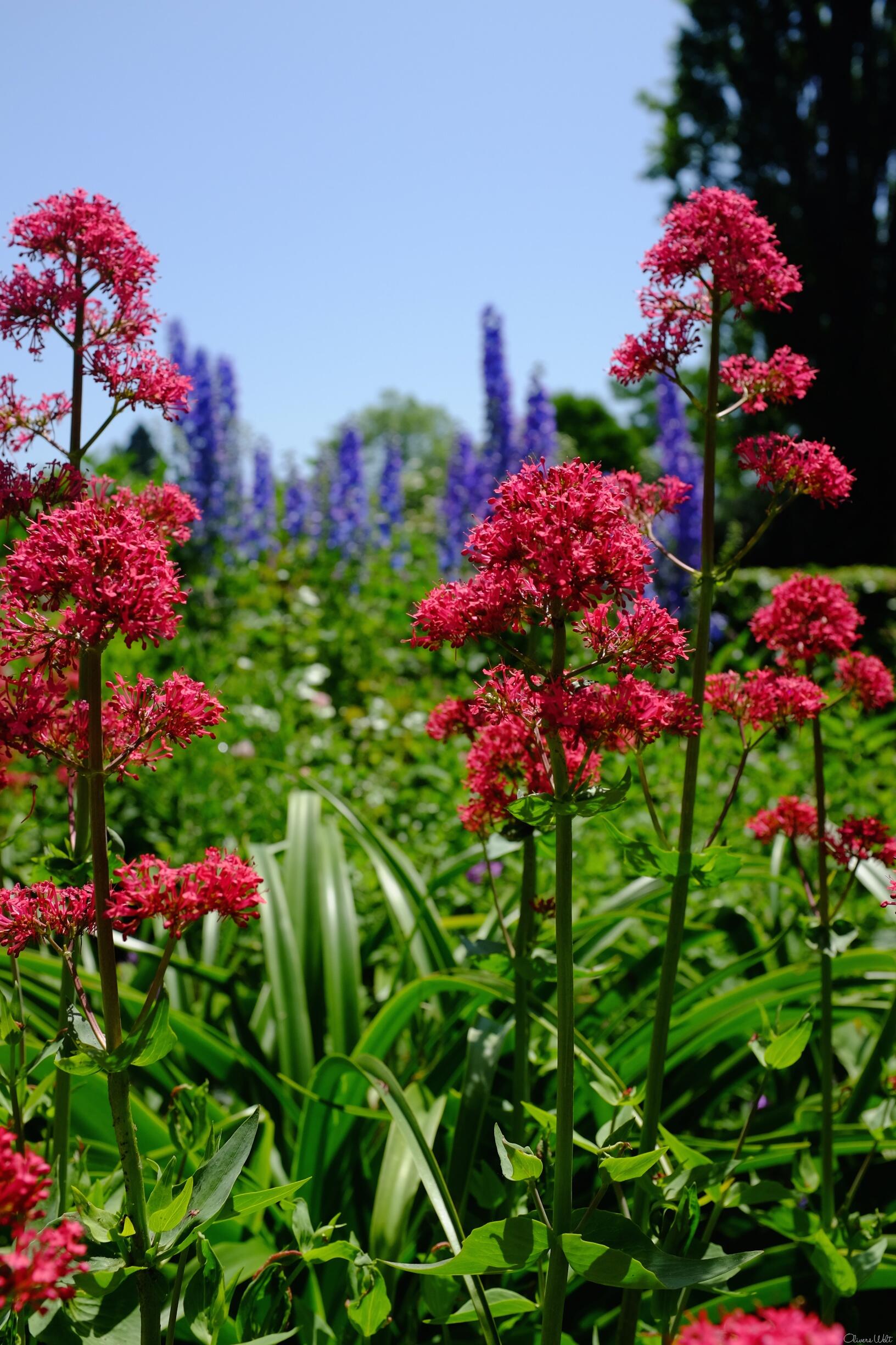 Bild ohne Beschreibung Bild ohne Beschreibung
