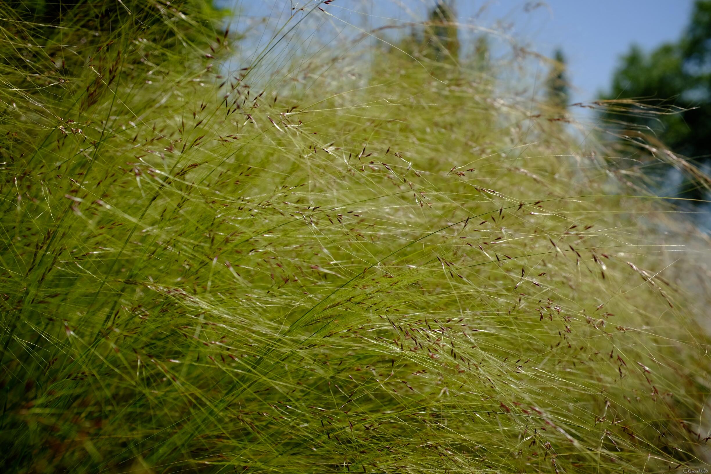 Bild ohne Beschreibung Bild ohne Beschreibung