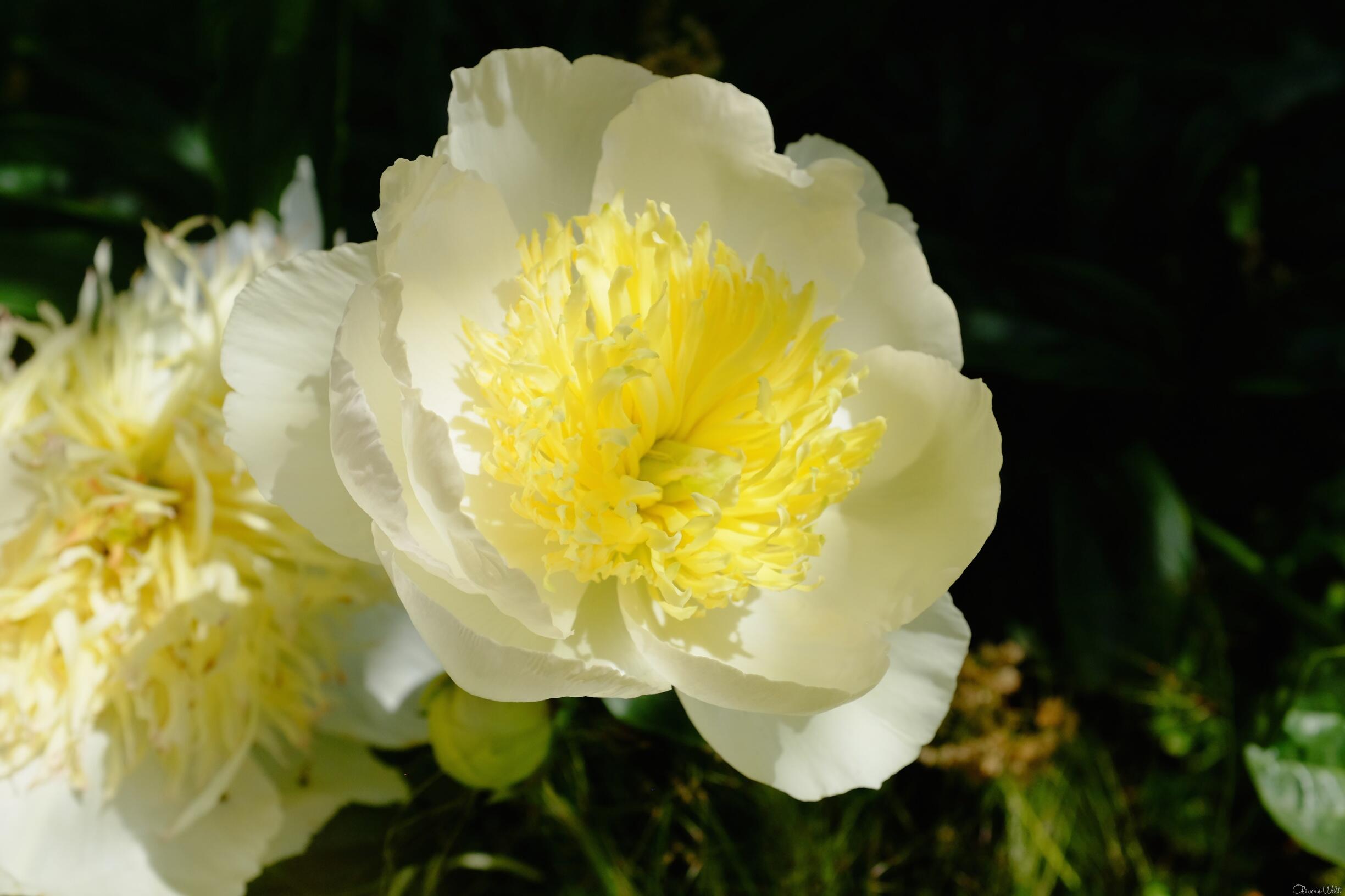 Bild ohne Beschreibung Bild ohne Beschreibung