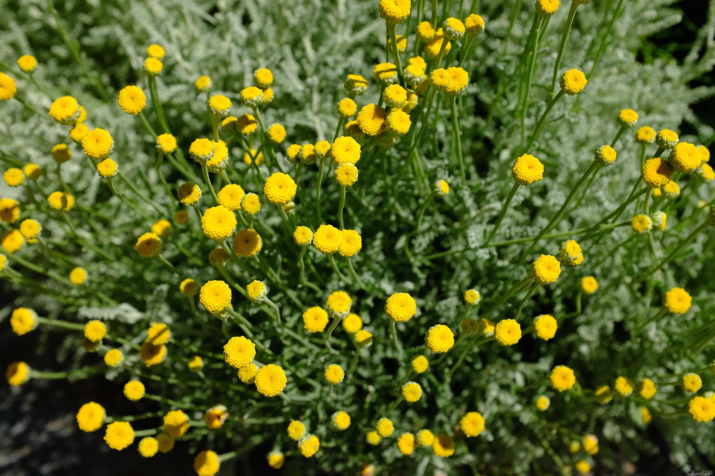 Bild ohne Beschreibung Bild ohne Beschreibung