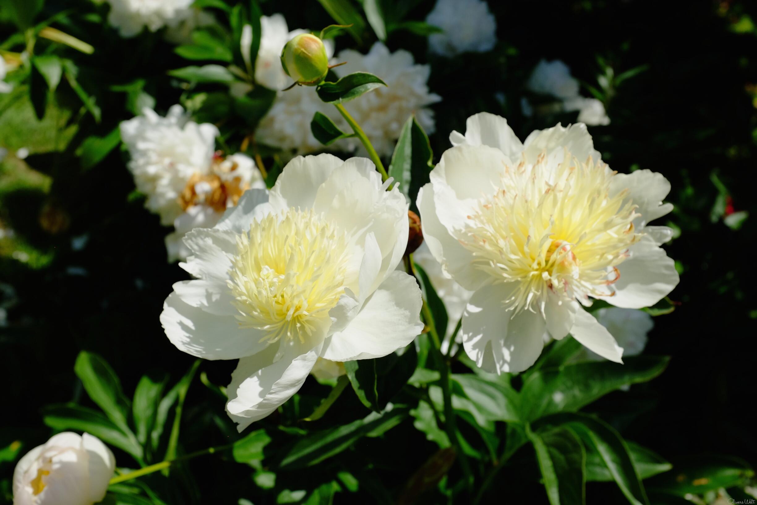 Bild ohne Beschreibung Bild ohne Beschreibung