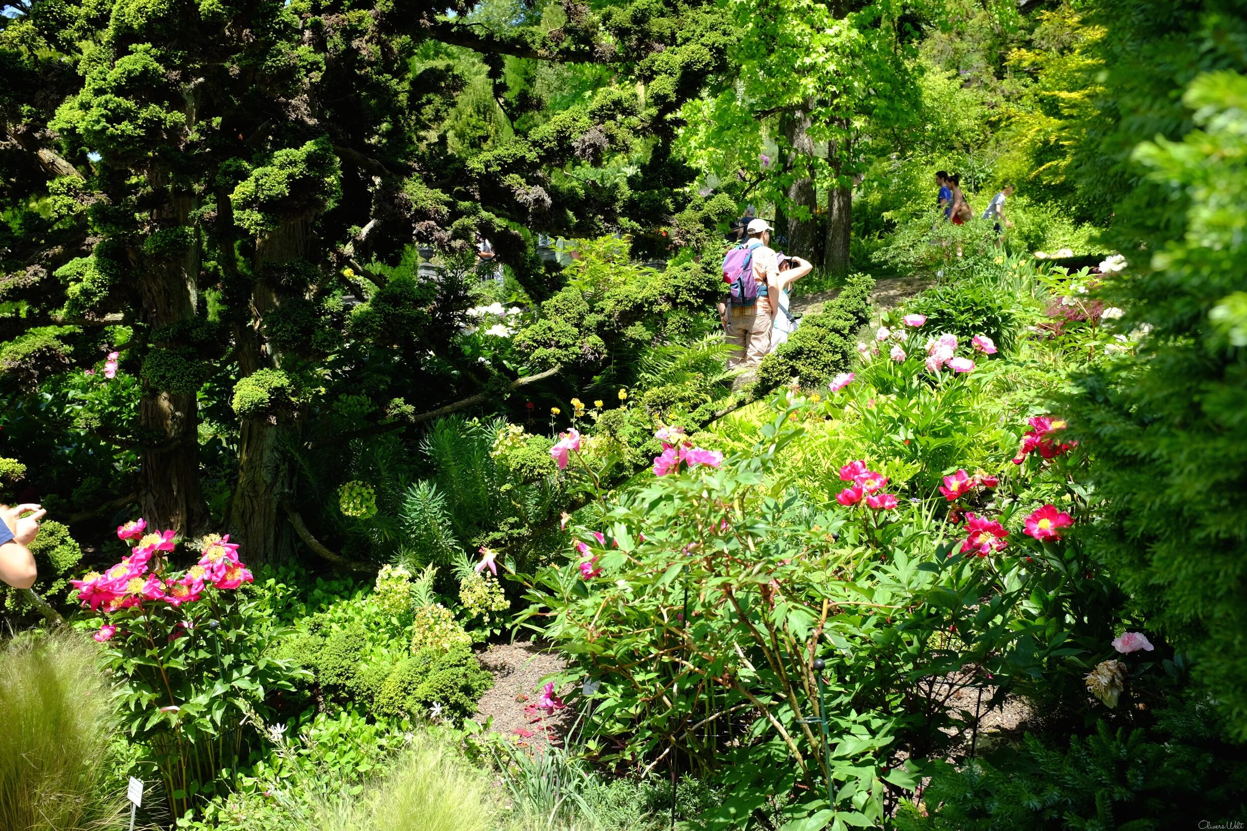Bild ohne Beschreibung Bild ohne Beschreibung