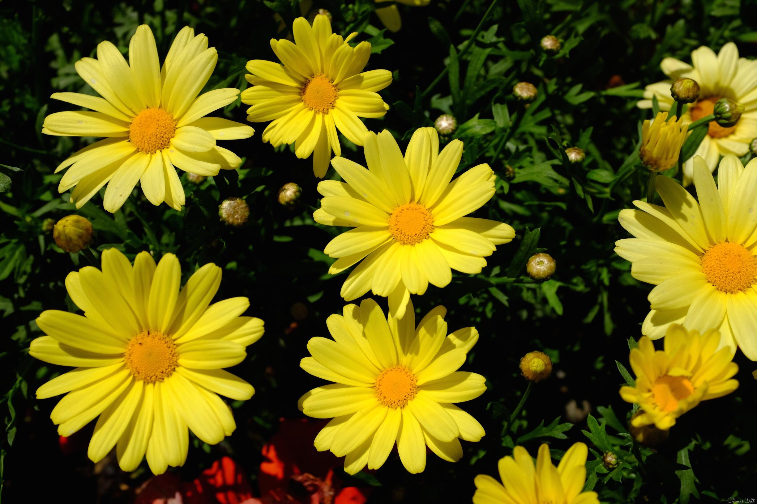 Bild ohne Beschreibung Bild ohne Beschreibung