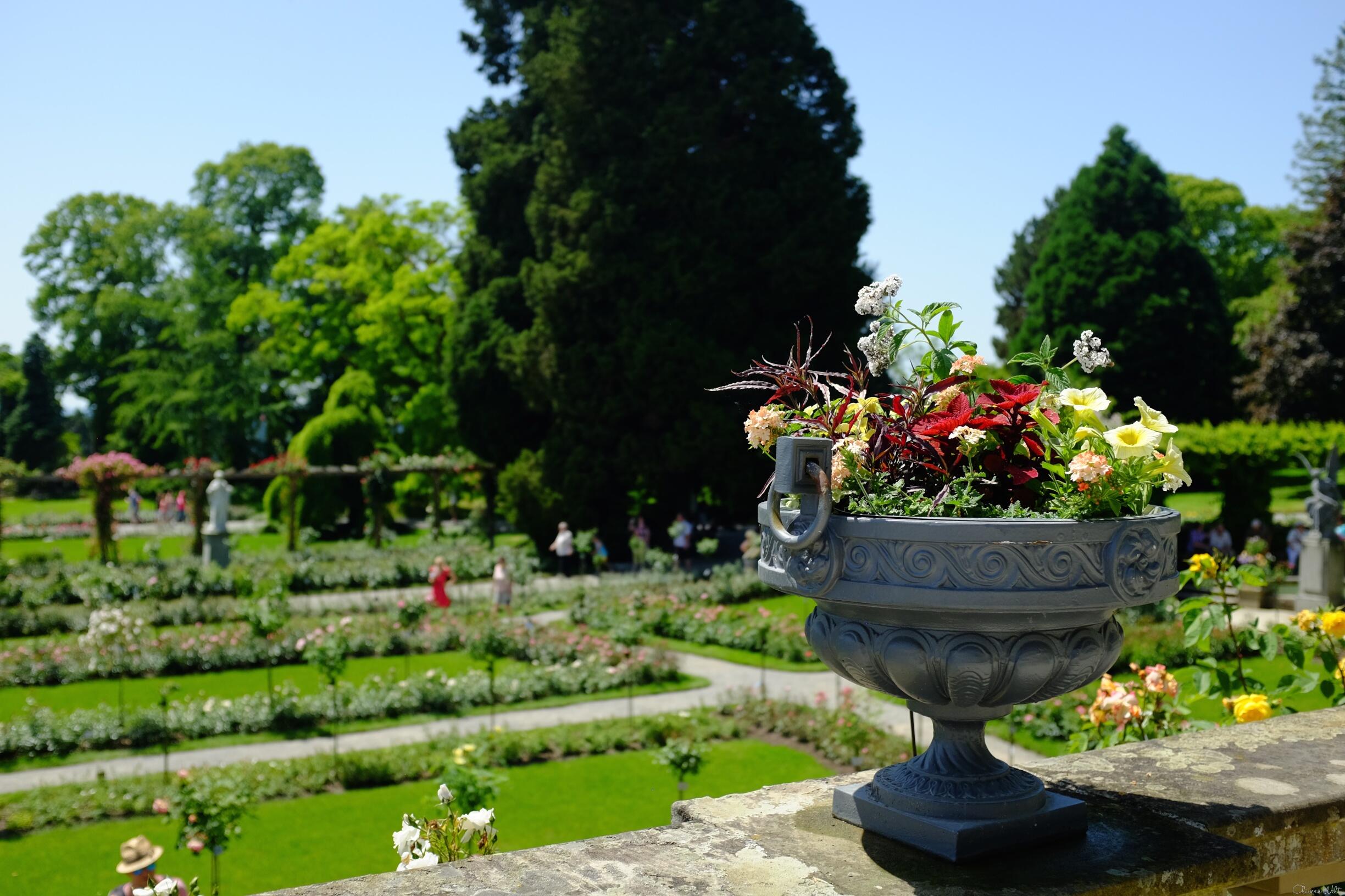 Bild ohne Beschreibung Bild ohne Beschreibung