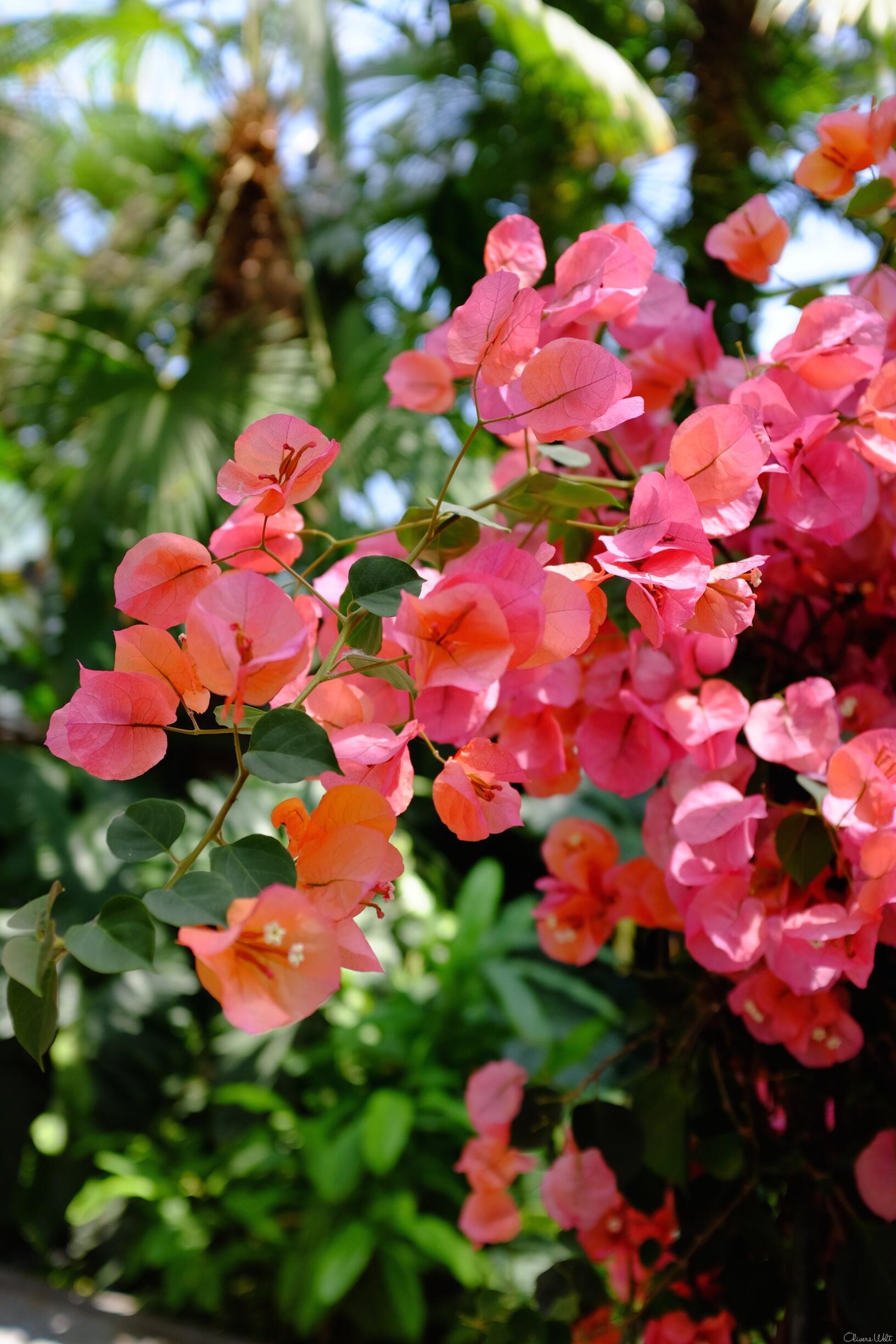 Bild ohne Beschreibung Bild ohne Beschreibung