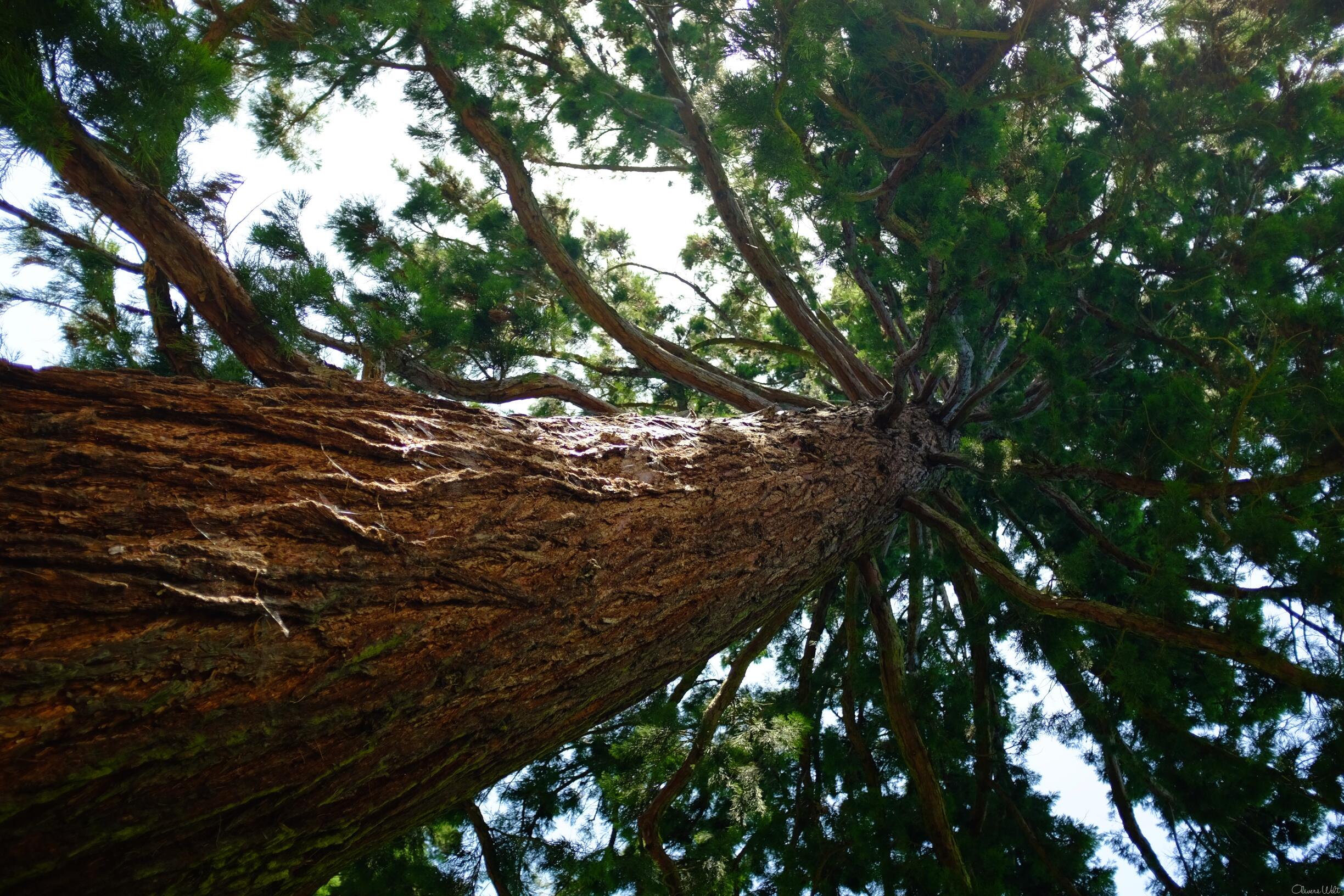 Bild ohne Beschreibung Bild ohne Beschreibung