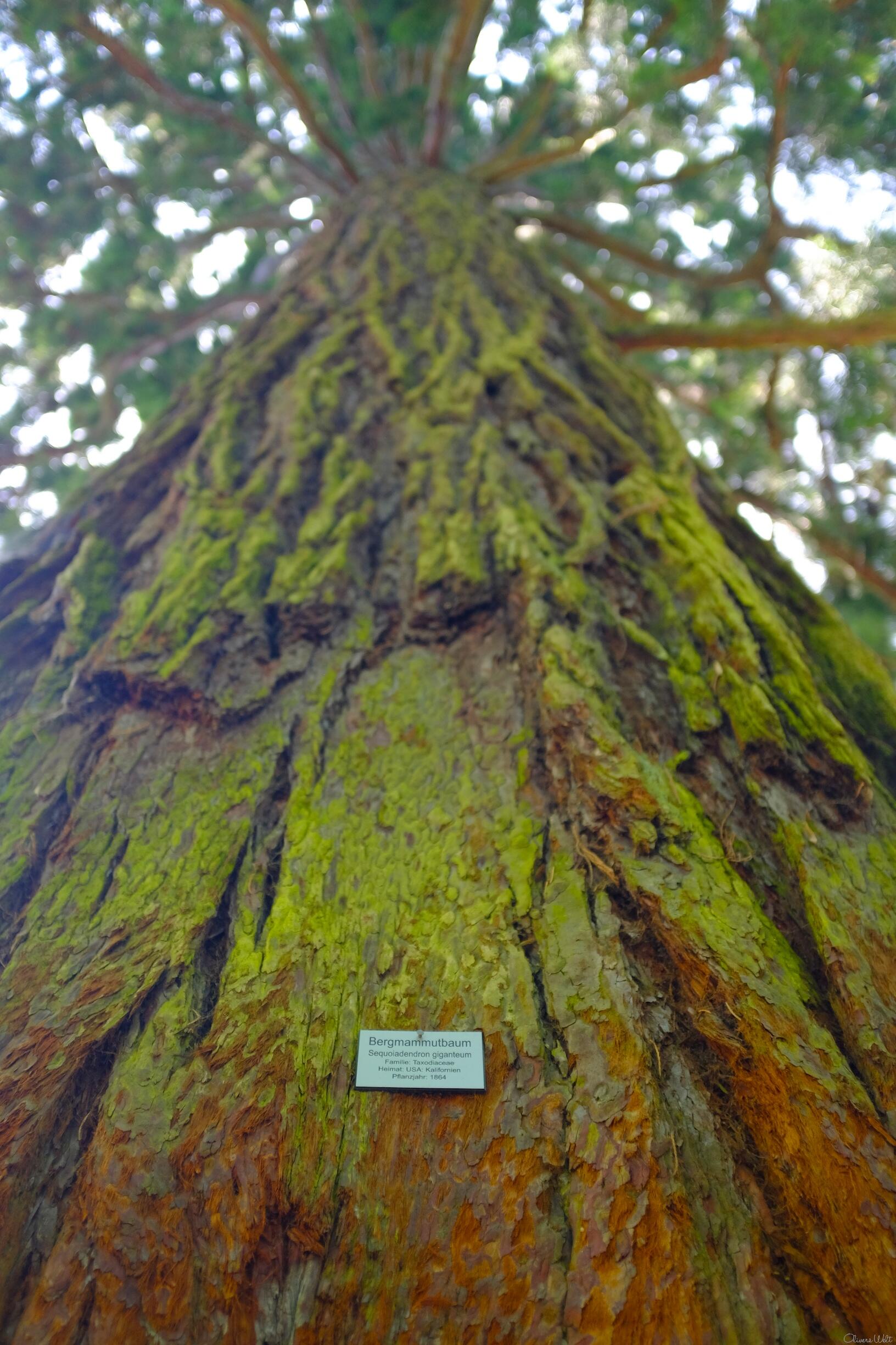 Bild ohne Beschreibung Bild ohne Beschreibung