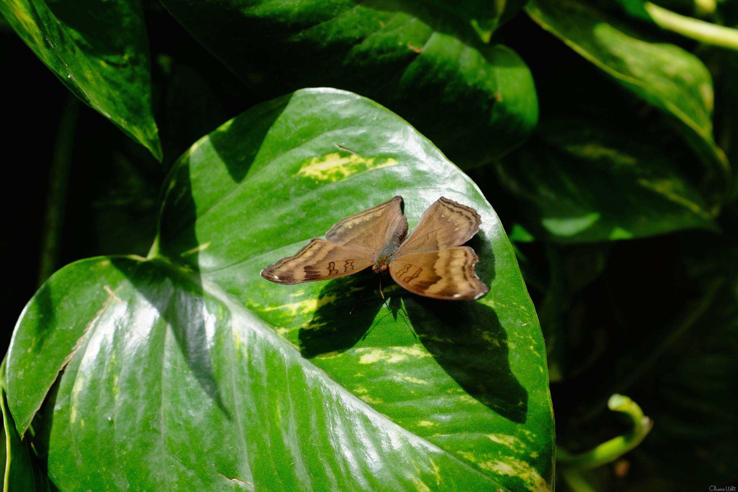 Bild ohne Beschreibung Bild ohne Beschreibung