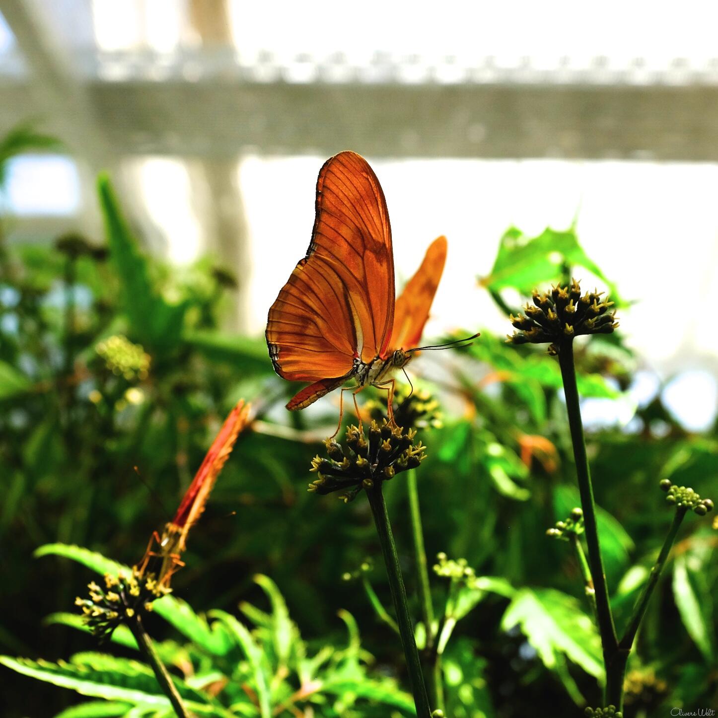 Bild ohne Beschreibung Bild ohne Beschreibung