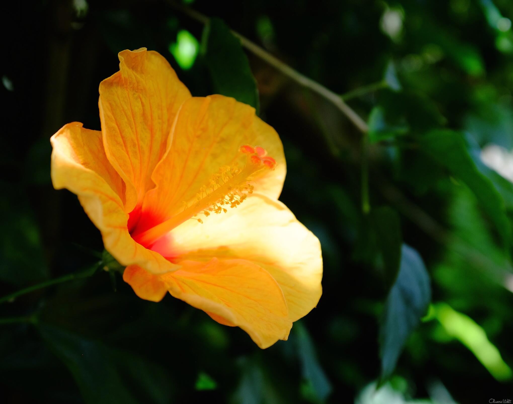 Bild ohne Beschreibung Bild ohne Beschreibung