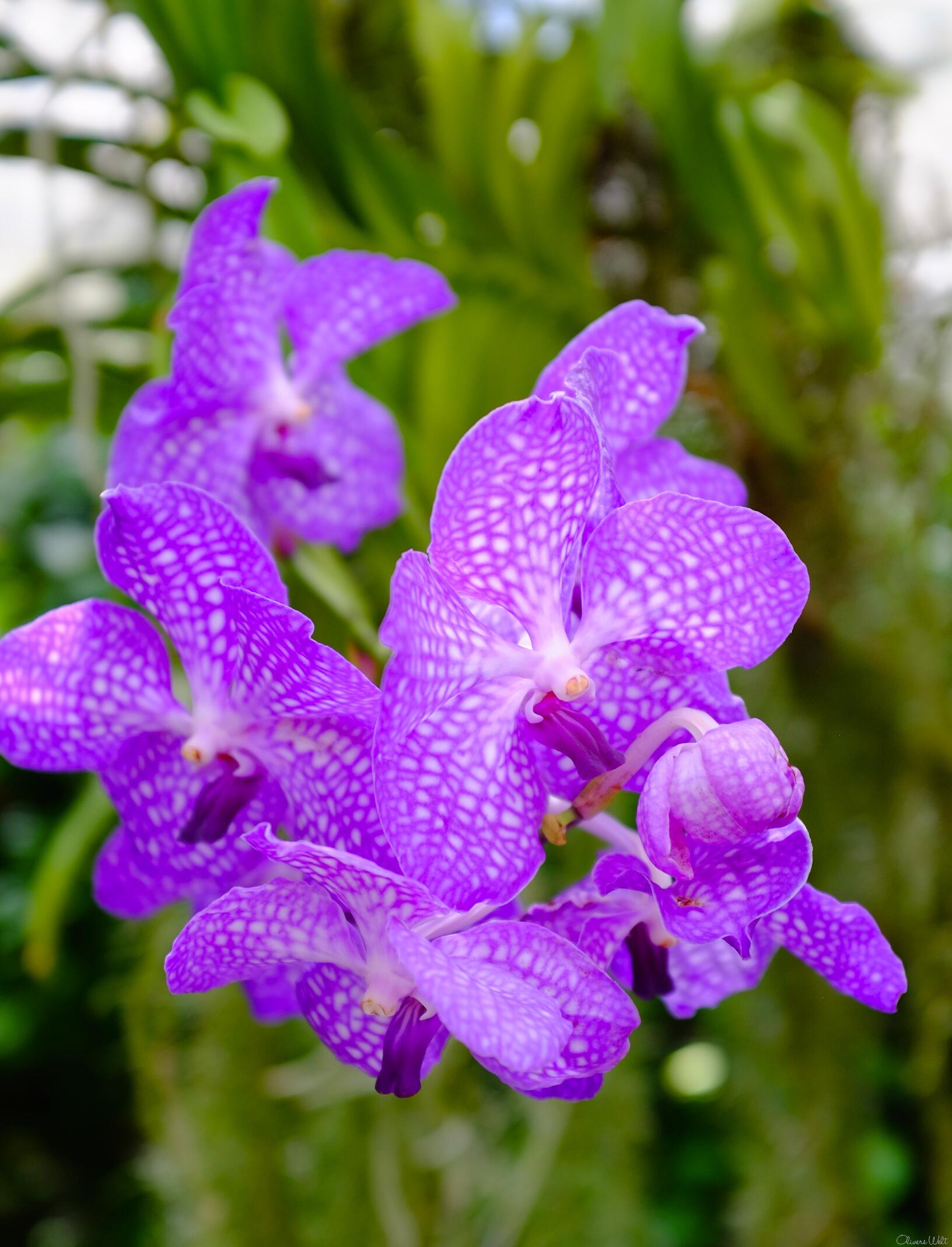 Bild ohne Beschreibung Bild ohne Beschreibung