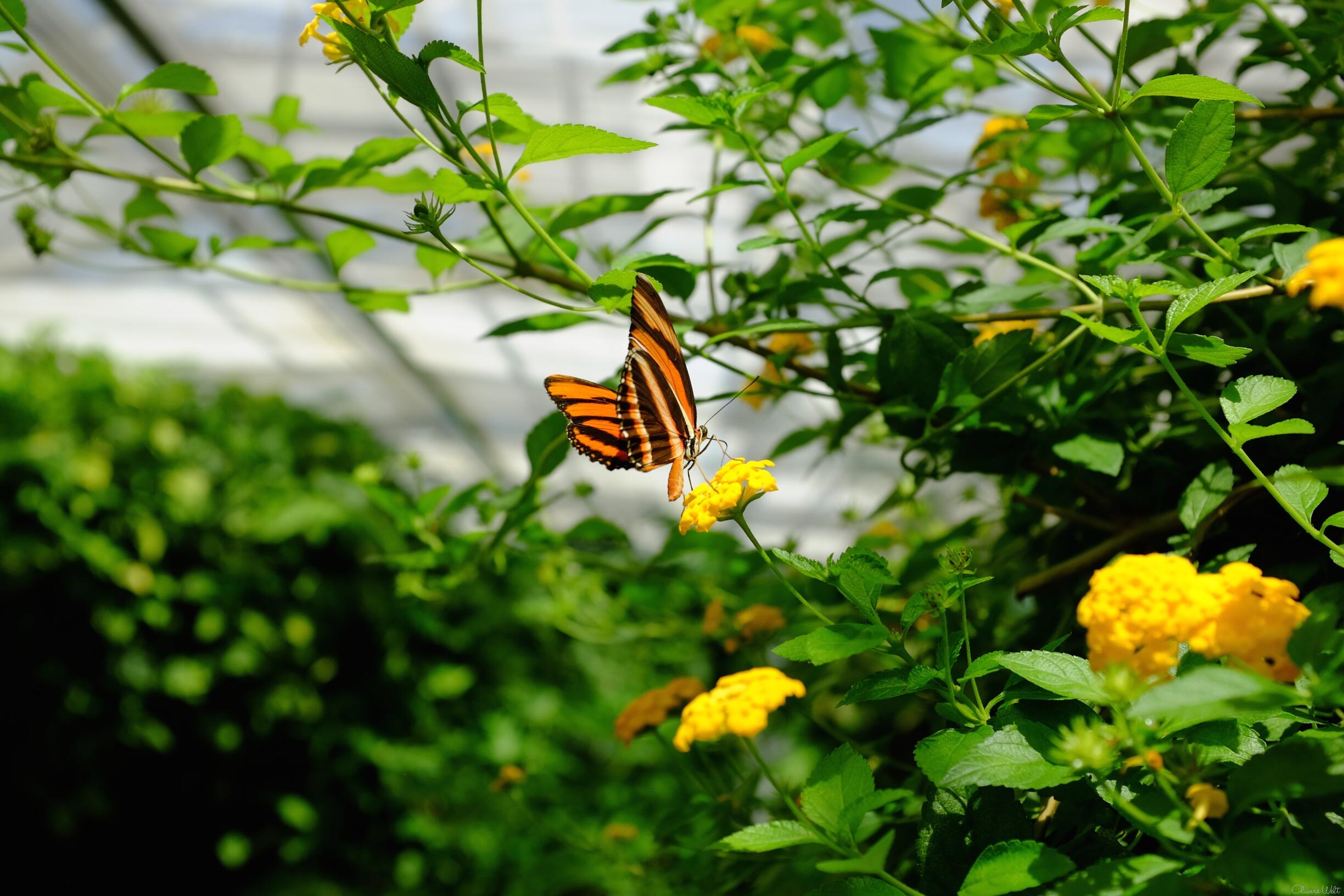 Bild ohne Beschreibung Bild ohne Beschreibung