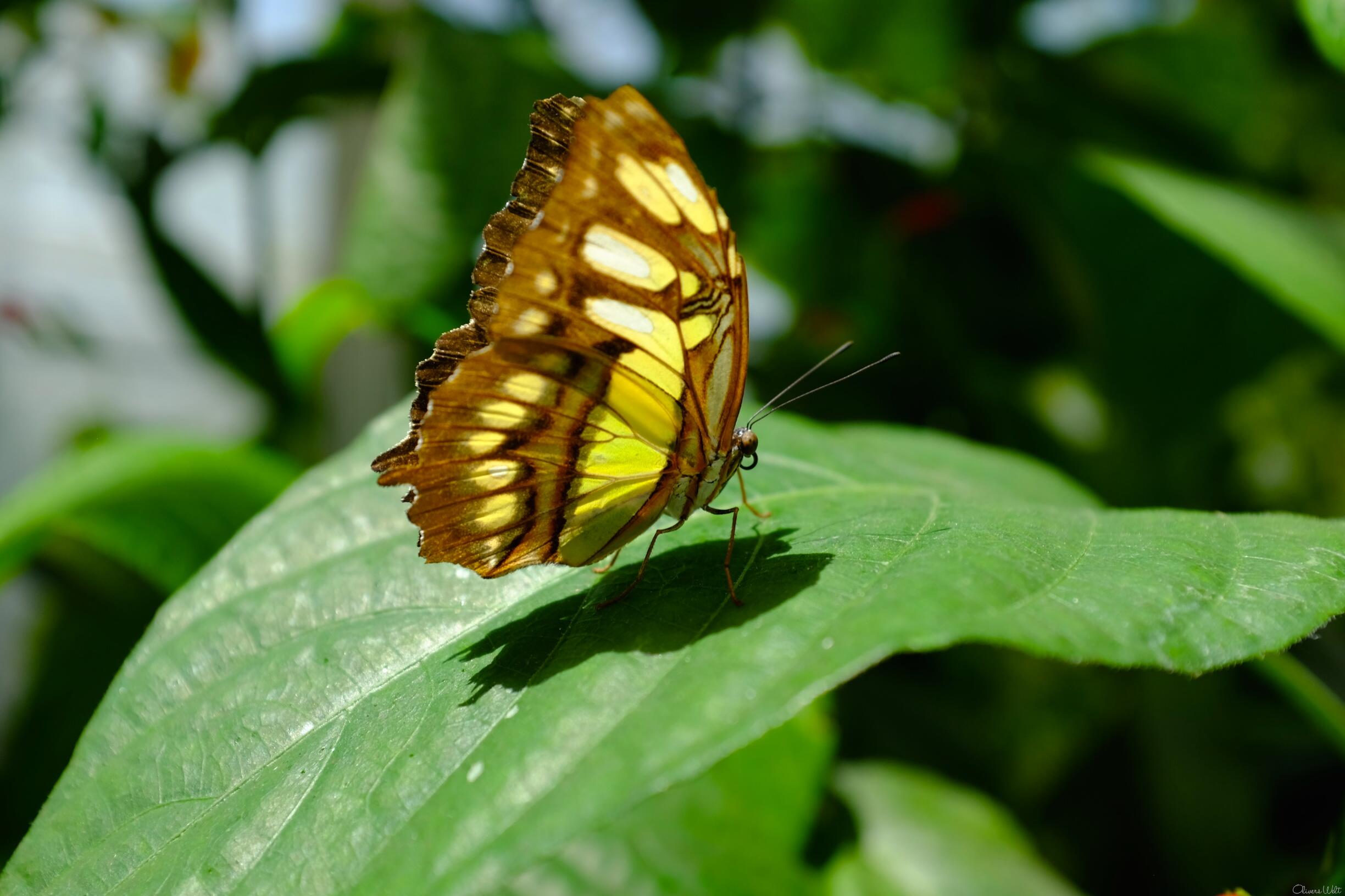 Bild ohne Beschreibung Bild ohne Beschreibung