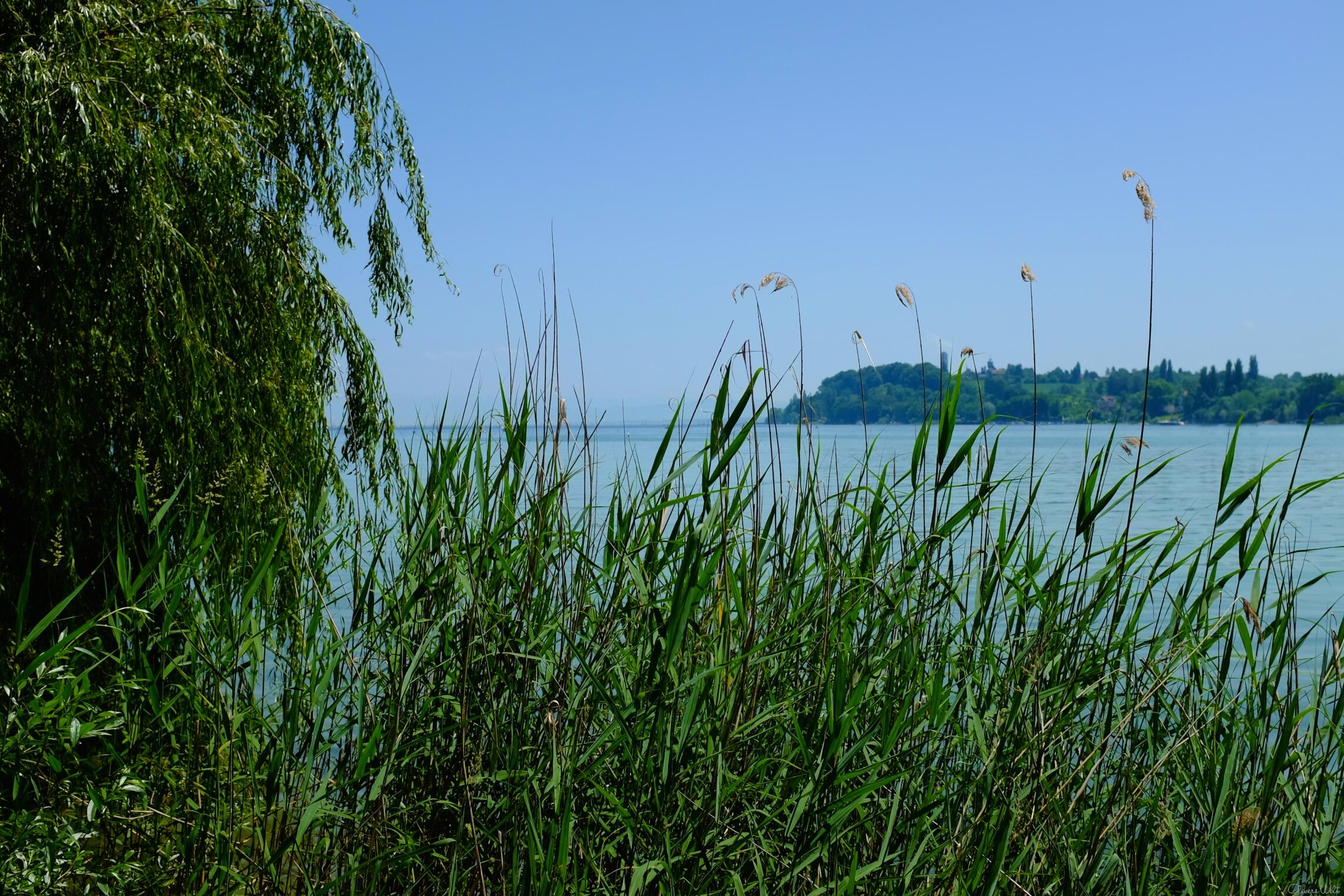 Bild ohne Beschreibung Bild ohne Beschreibung