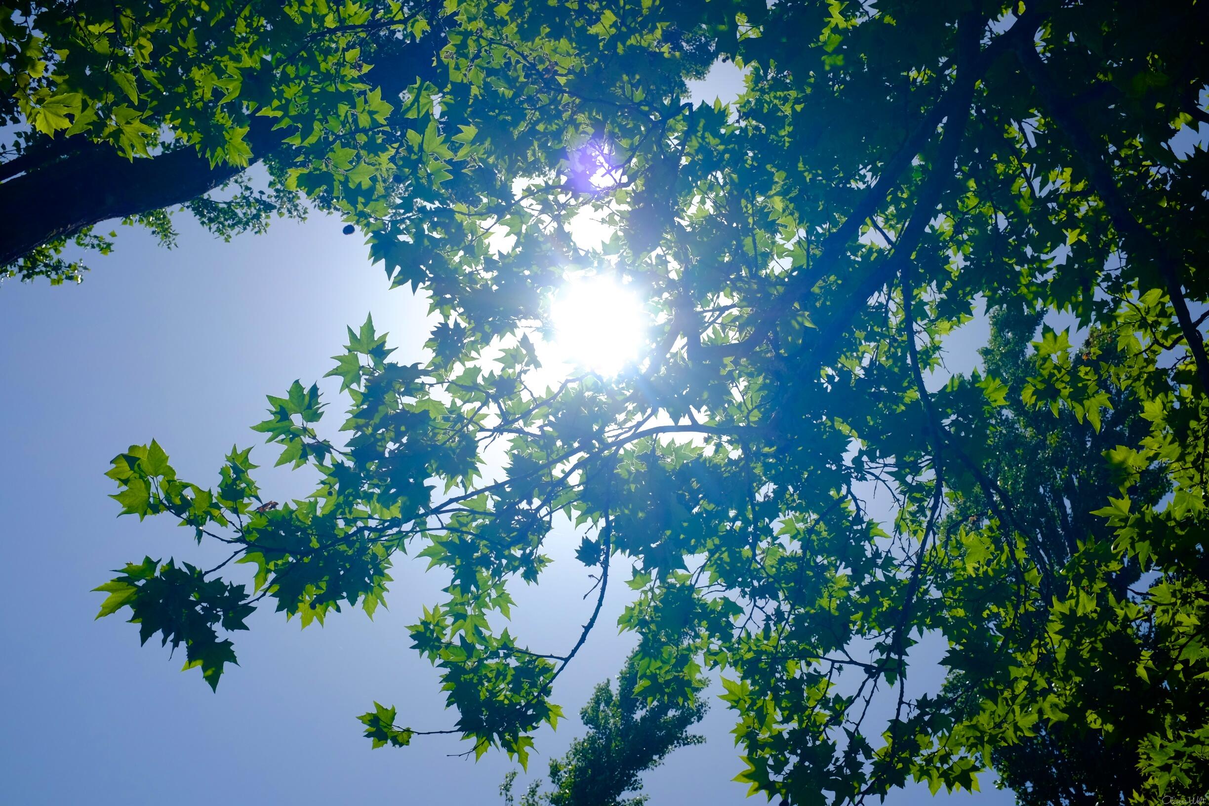 Bild ohne Beschreibung Bild ohne Beschreibung