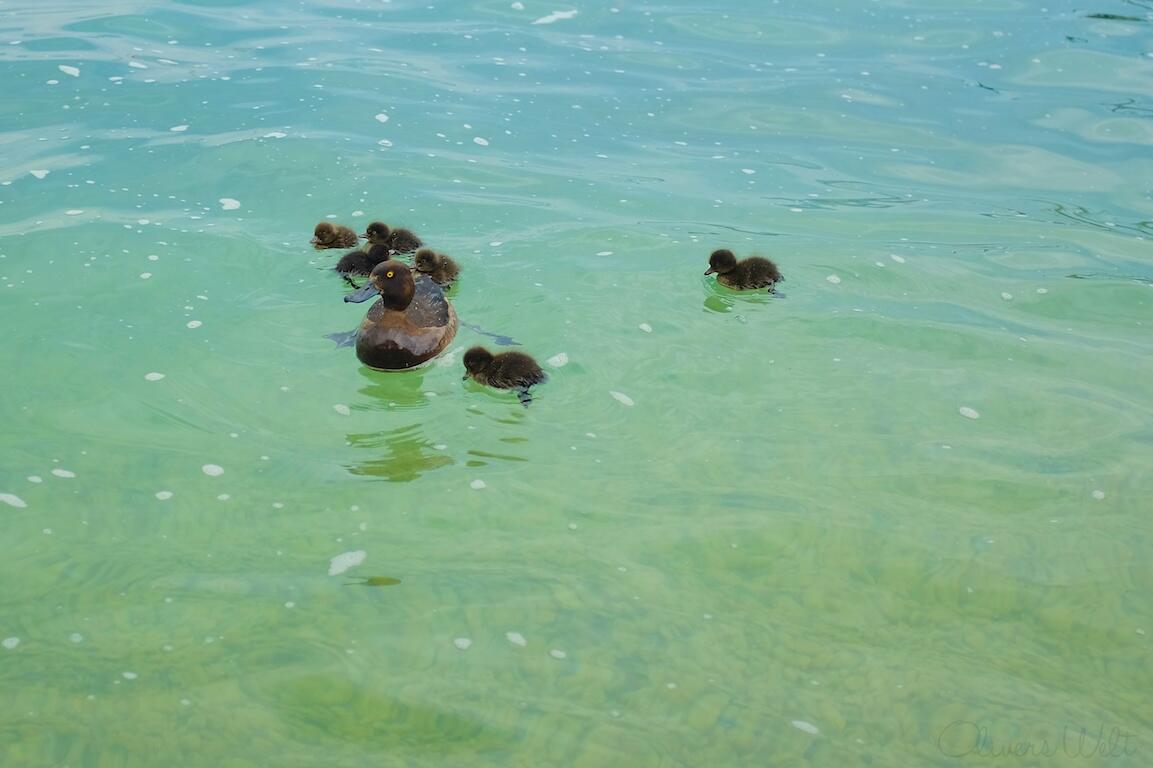 Bild ohne Beschreibung Bild ohne Beschreibung