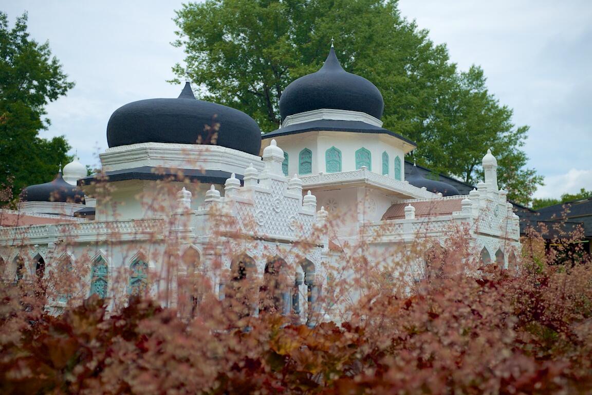 Bild ohne Beschreibung Bild ohne Beschreibung