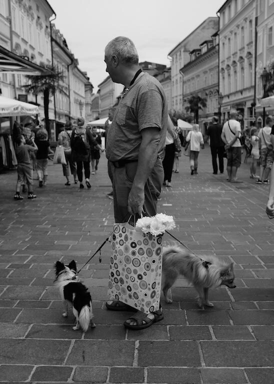 Bild ohne Beschreibung Bild ohne Beschreibung