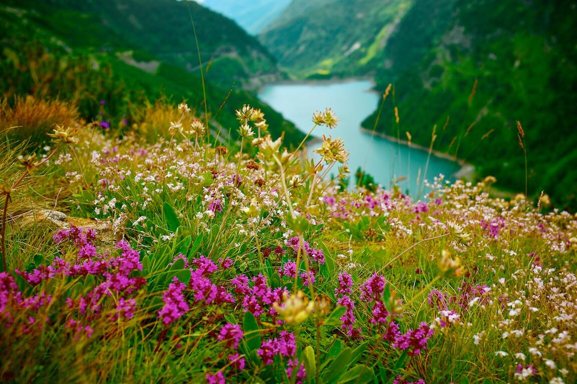 Bild ohne Beschreibung Bild ohne Beschreibung