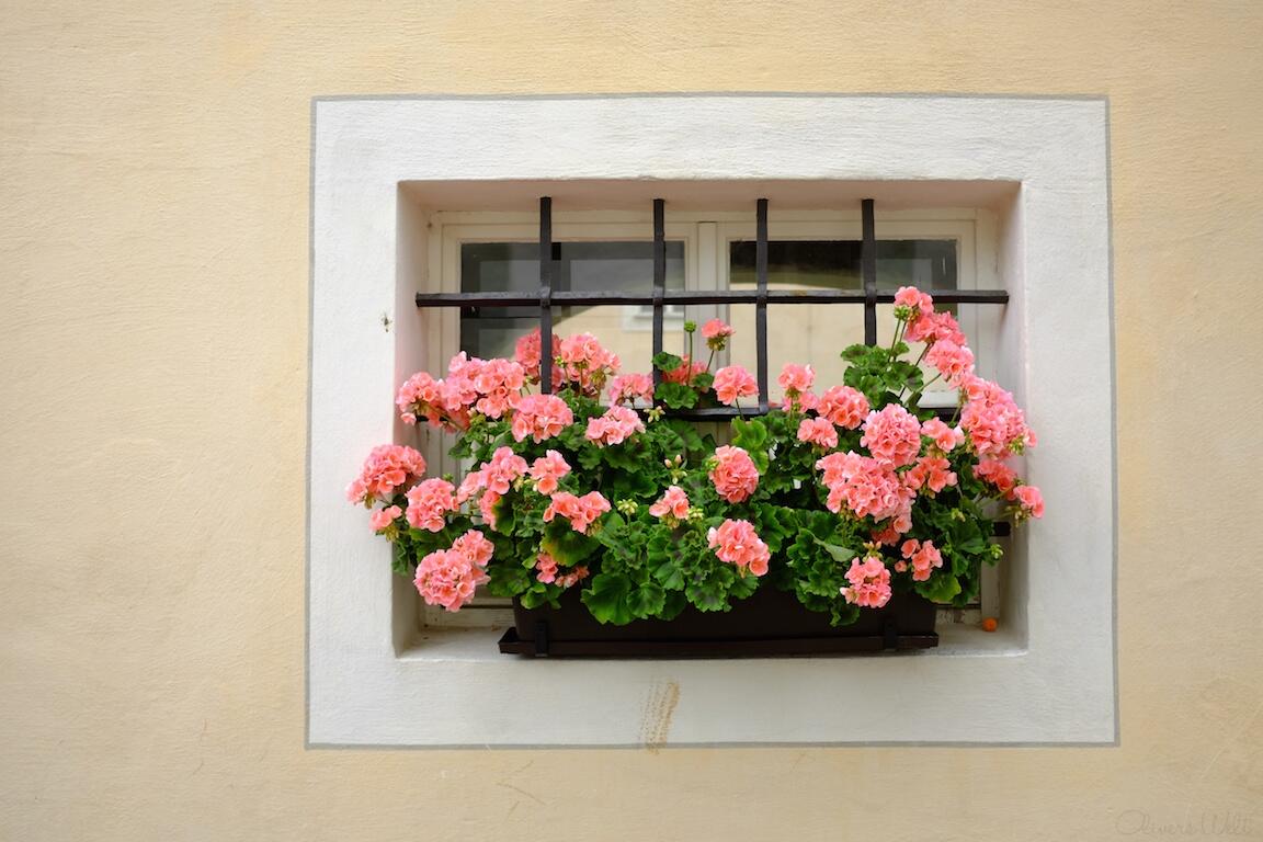 Bild ohne Beschreibung Bild ohne Beschreibung