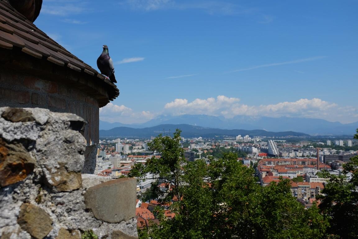 Bild ohne Beschreibung Bild ohne Beschreibung