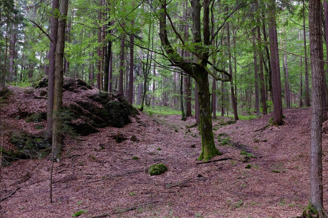 Bild ohne Beschreibung Bild ohne Beschreibung