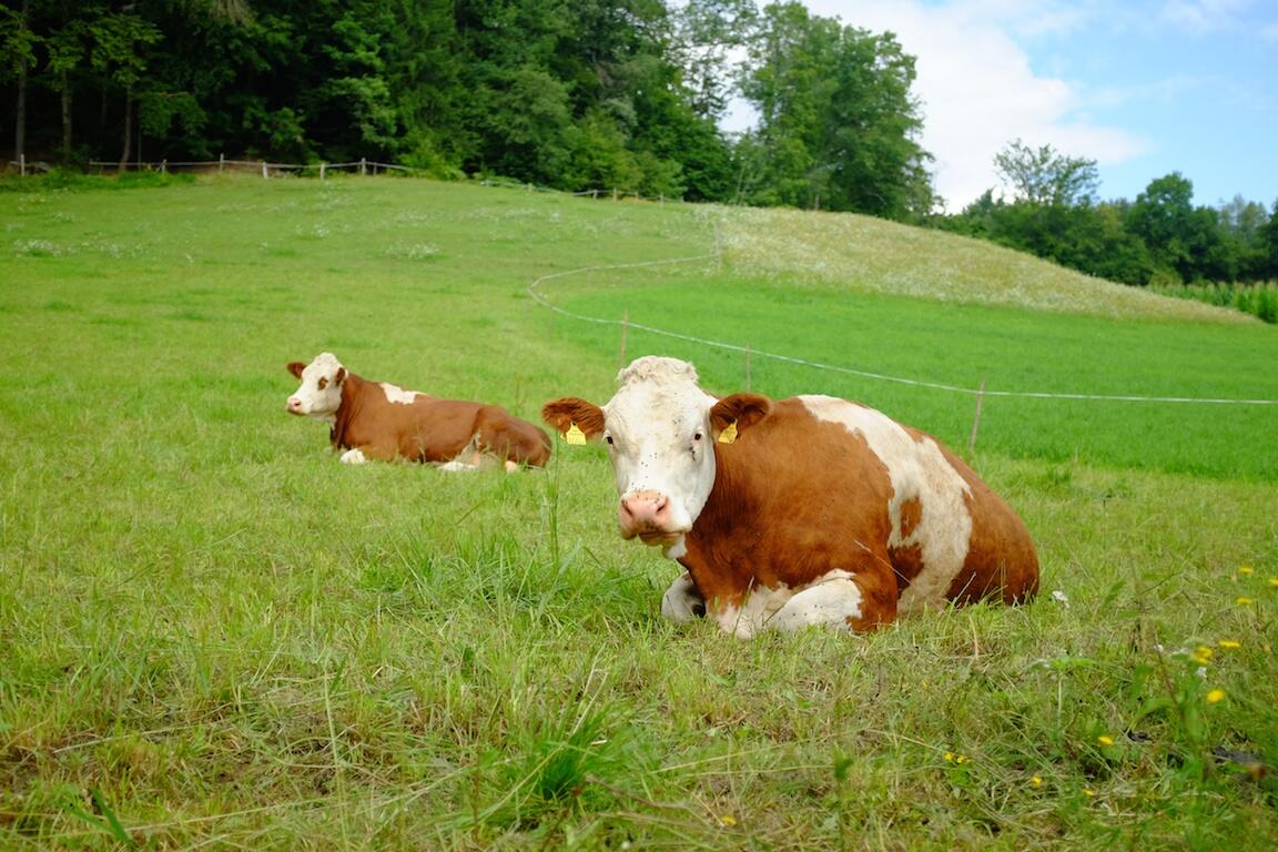 Bild ohne Beschreibung Bild ohne Beschreibung