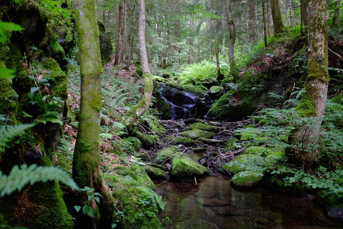 Bild ohne Beschreibung Bild ohne Beschreibung