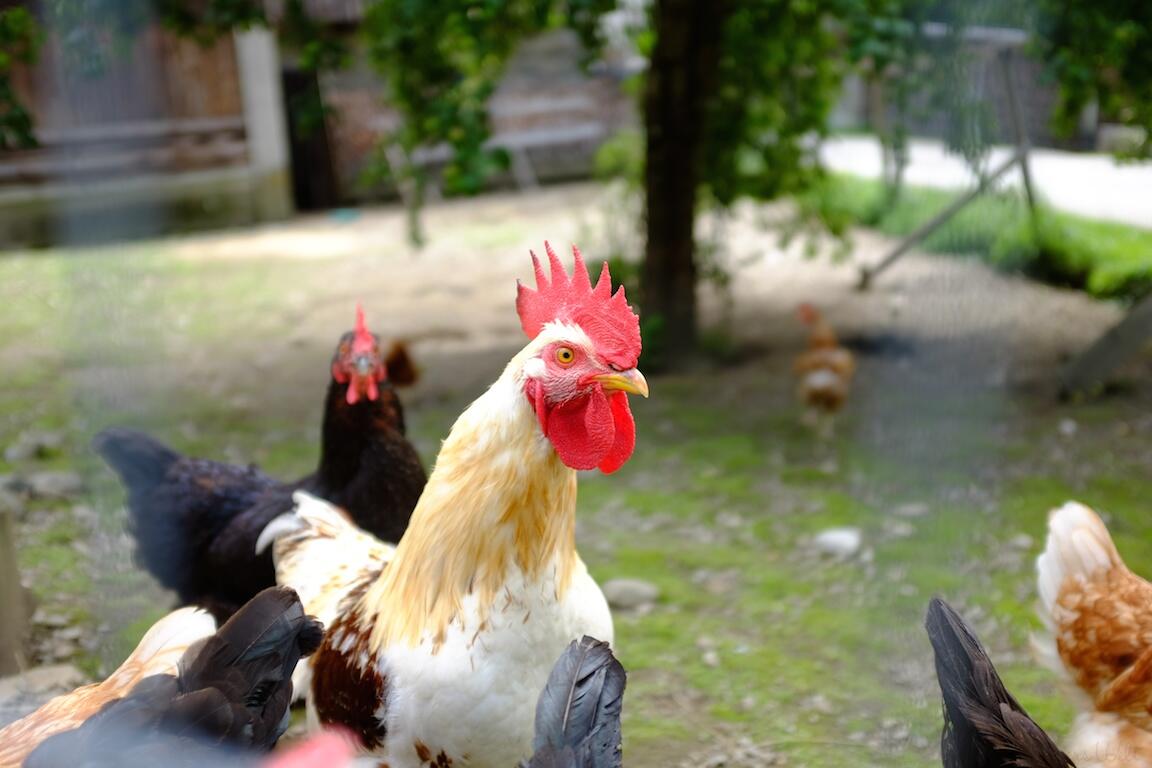 Bild ohne Beschreibung Bild ohne Beschreibung