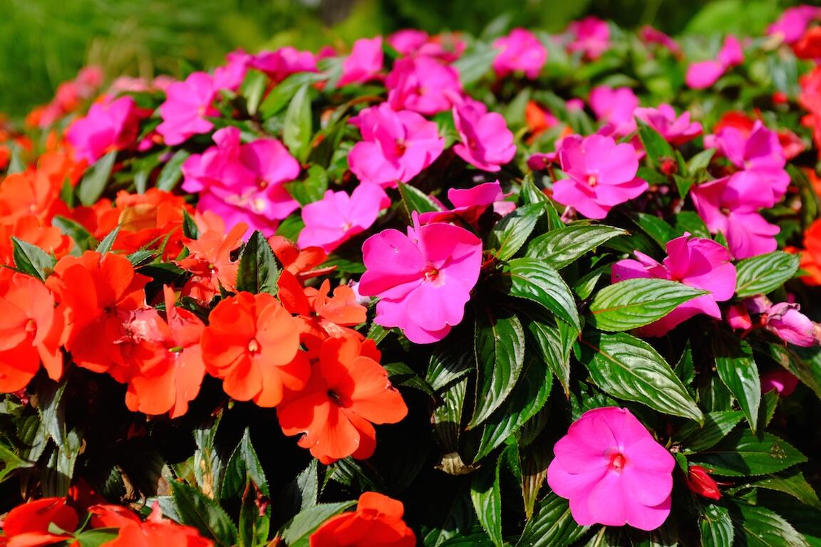 Bild ohne Beschreibung Bild ohne Beschreibung