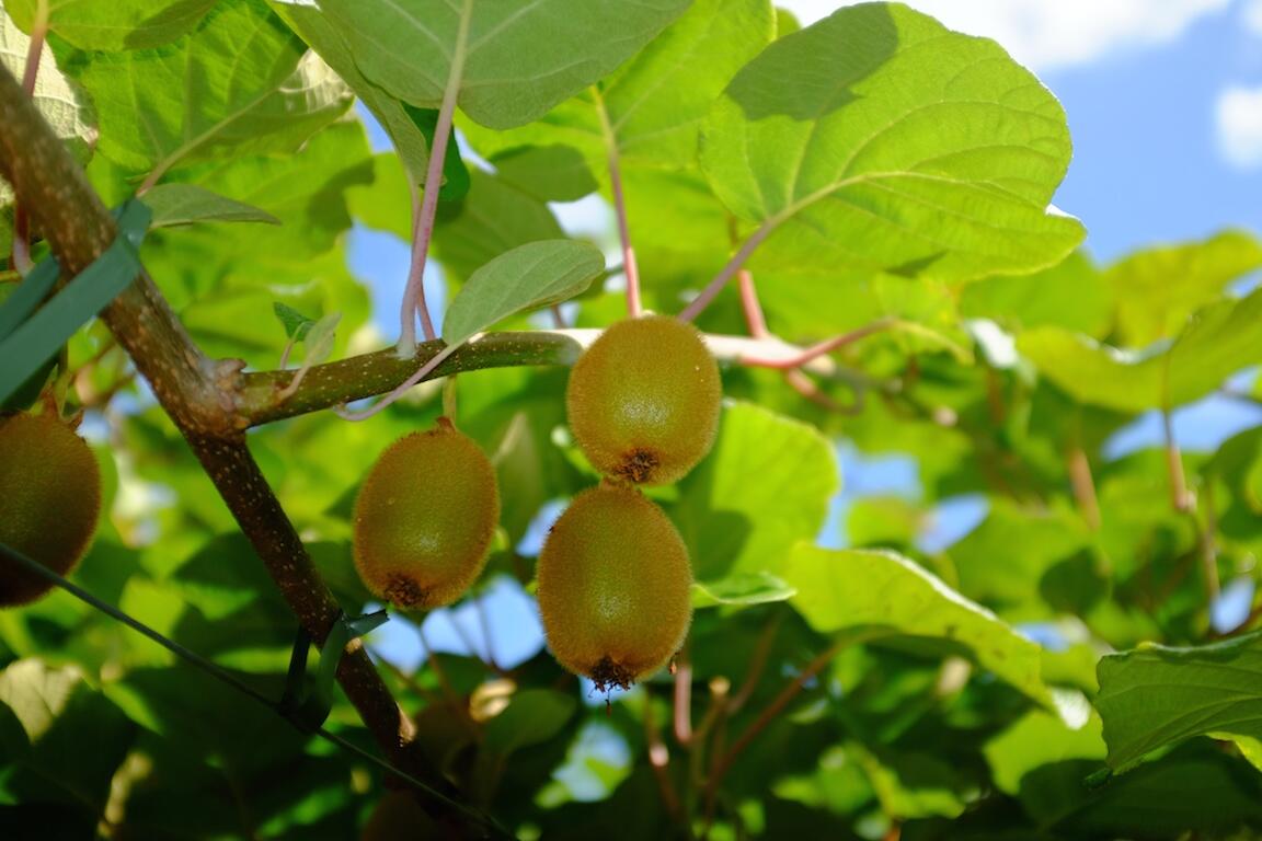 Bild ohne Beschreibung Bild ohne Beschreibung