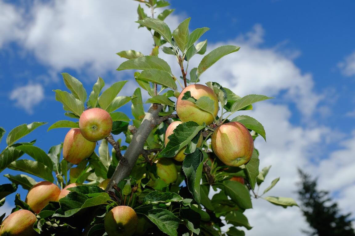 Bild ohne Beschreibung Bild ohne Beschreibung