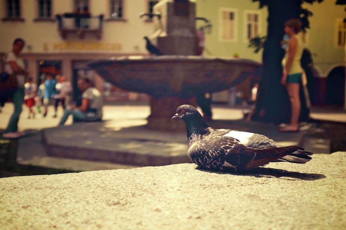 Bild ohne Beschreibung Bild ohne Beschreibung