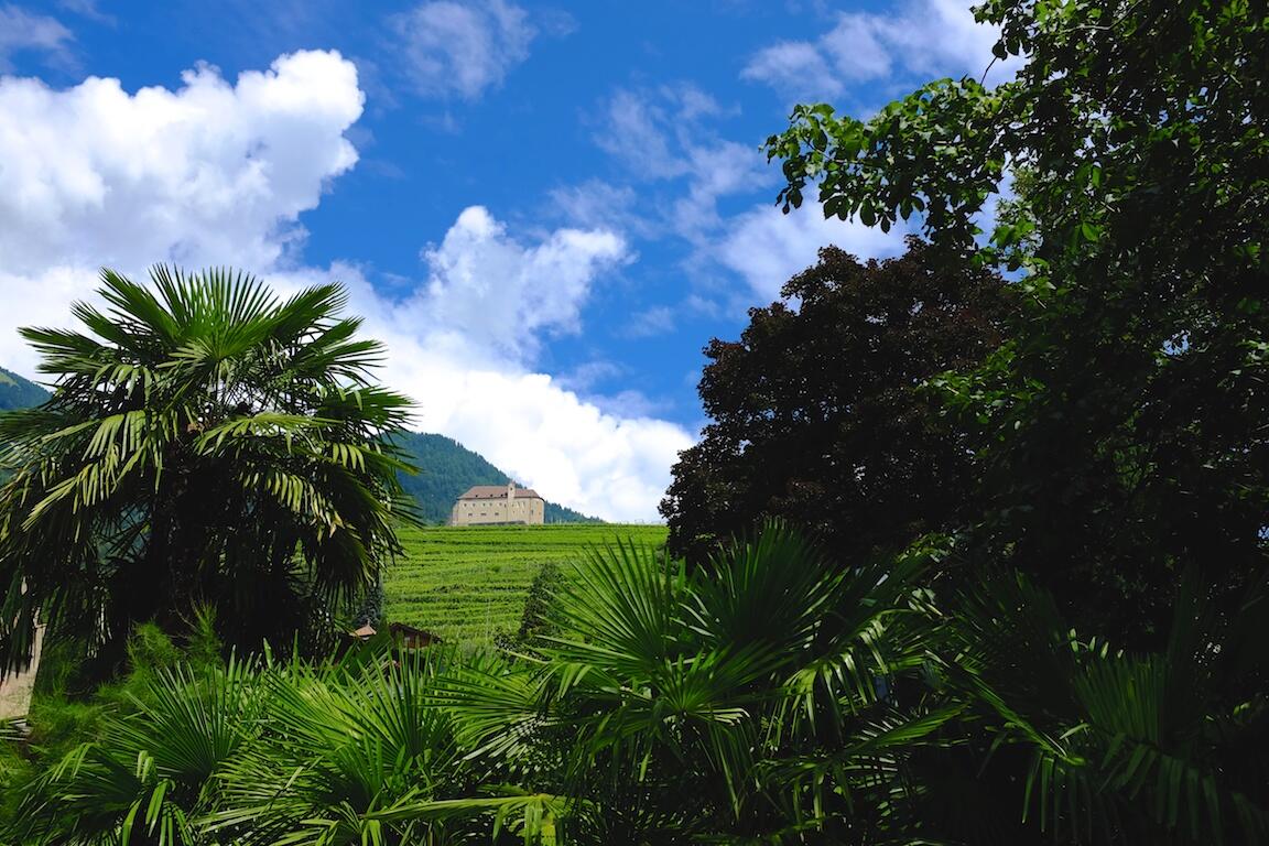 Bild ohne Beschreibung Bild ohne Beschreibung