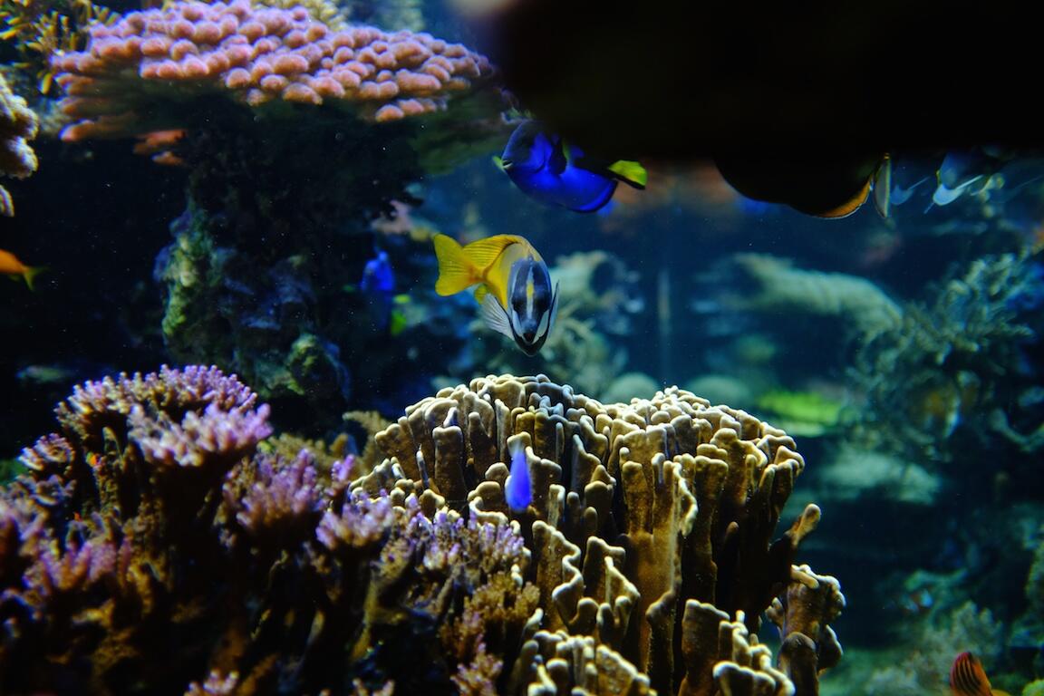 Bild ohne Beschreibung Bild ohne Beschreibung