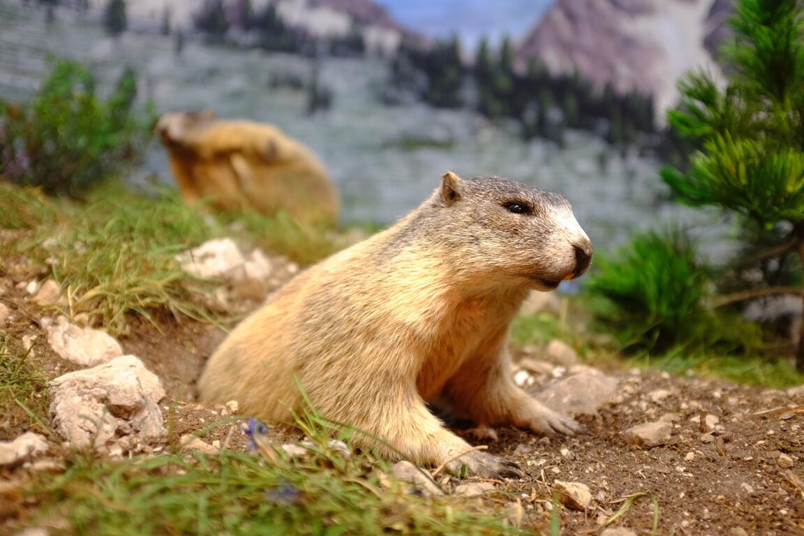 Bild ohne Beschreibung Bild ohne Beschreibung