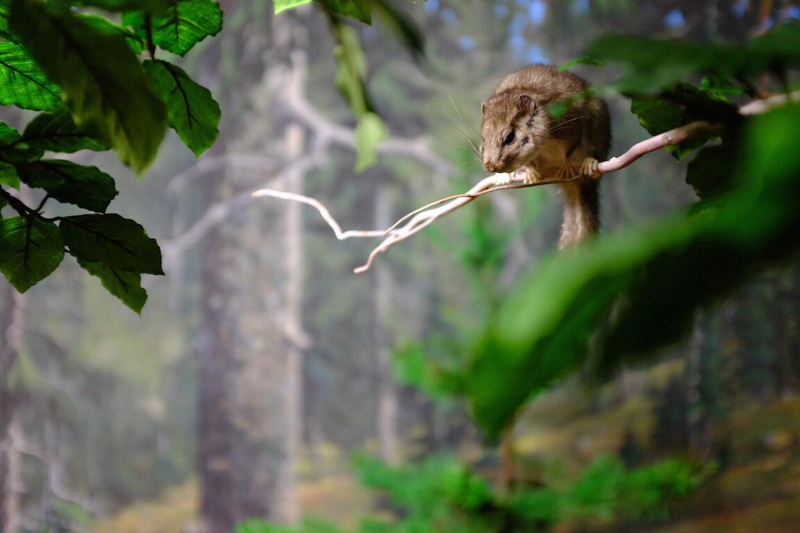 Bild ohne Beschreibung Bild ohne Beschreibung