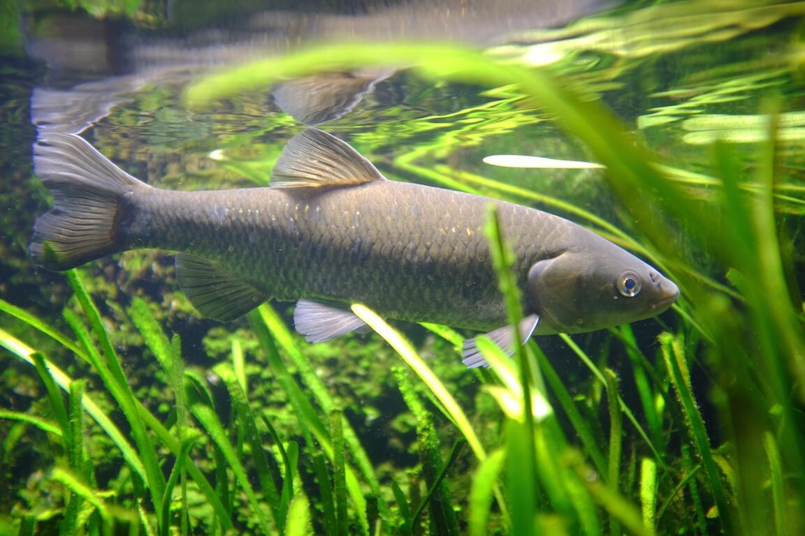 Bild ohne Beschreibung Bild ohne Beschreibung