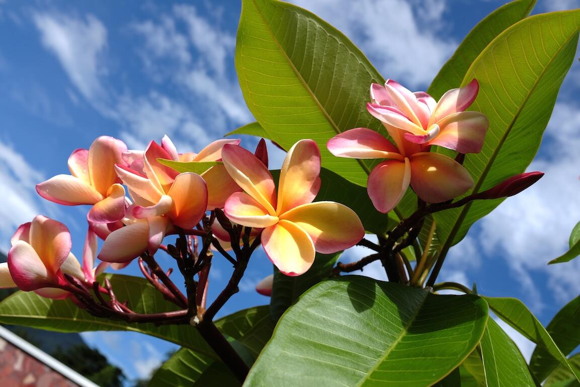 Bild ohne Beschreibung Bild ohne Beschreibung