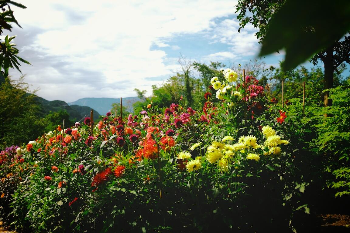 Bild ohne Beschreibung Bild ohne Beschreibung