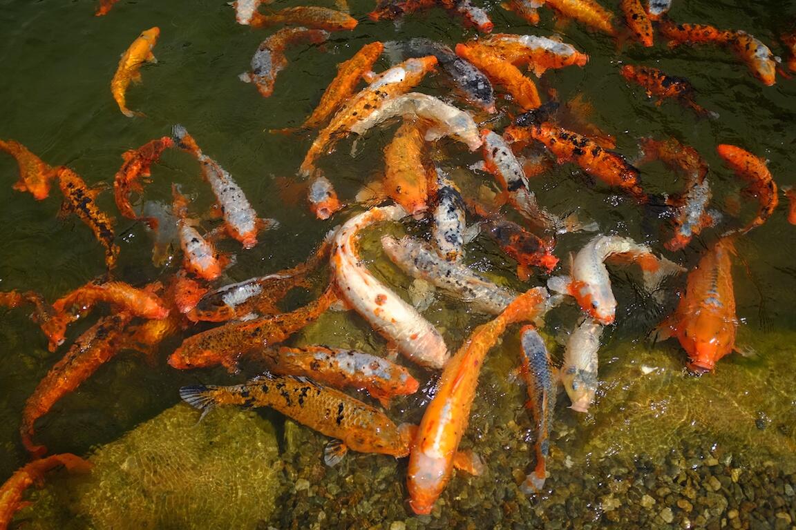 Bild ohne Beschreibung Bild ohne Beschreibung