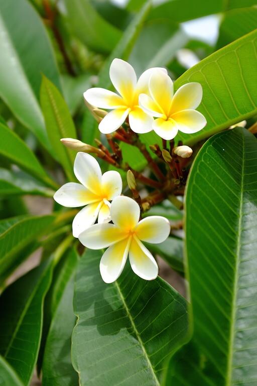 Bild ohne Beschreibung Bild ohne Beschreibung