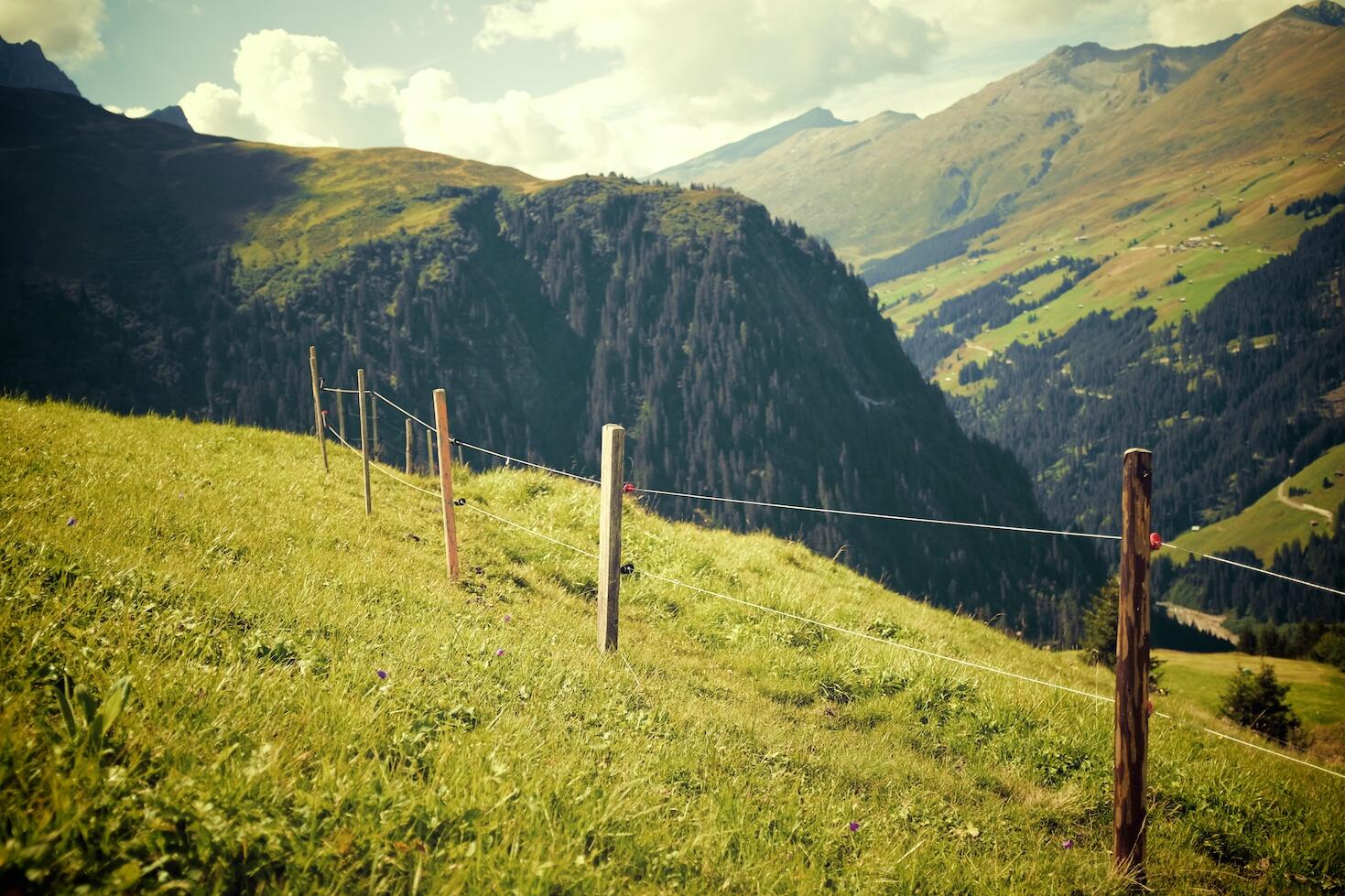 Bild ohne Beschreibung